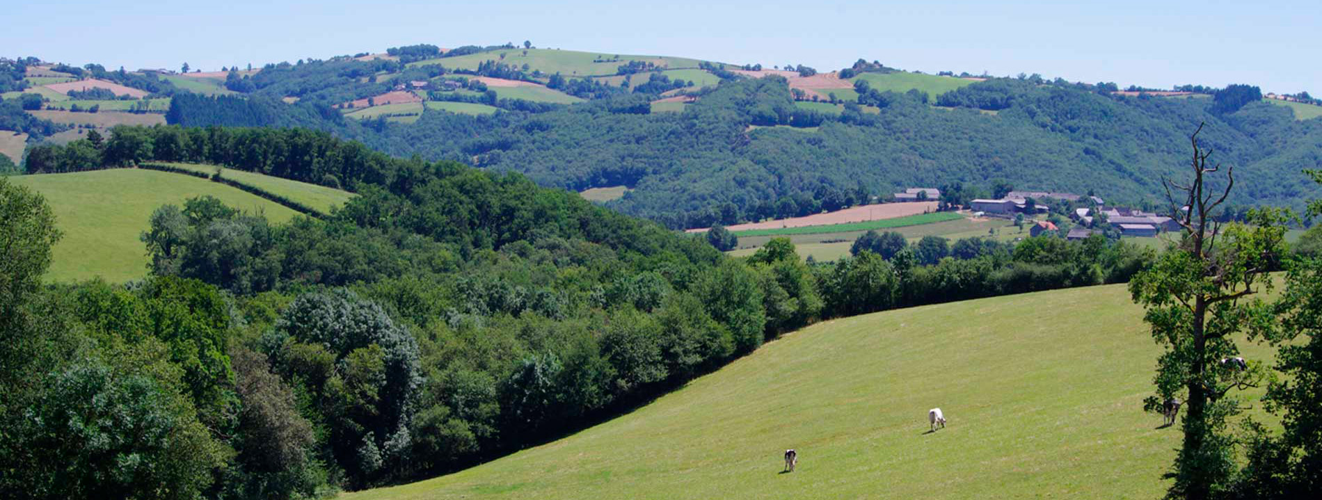 Fond mentions légales campagne